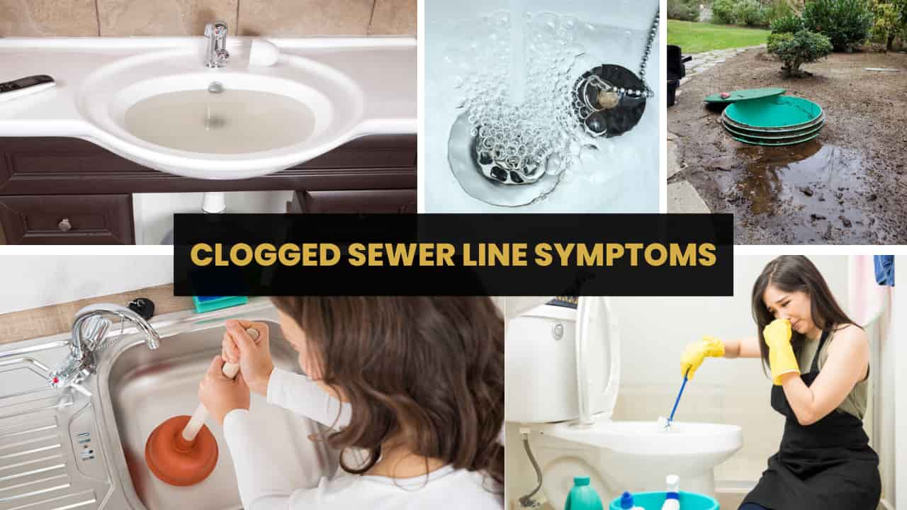 Clogged Sewer Line Symptoms (1)