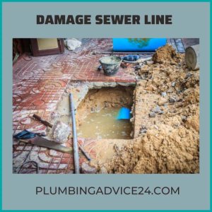 Damage Sewer Line