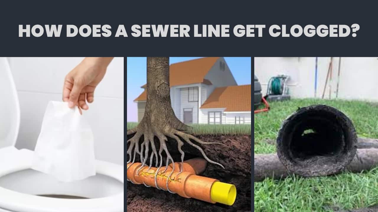 How Does a Sewer Line Get Clogged