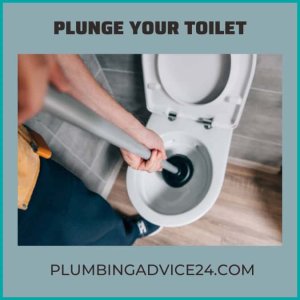 Plunge Your Toilet