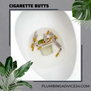 Cigarette Butts Flushed Down the Toilet