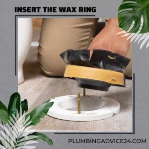 Insert the Wax Ring