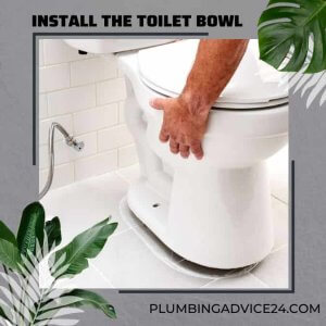 Install the Toilet Bowl onto the Flange