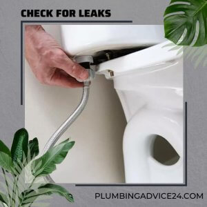 Leaks in the tank or bowl