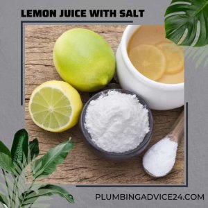 Lemon Juice with Salt