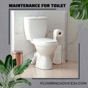 Maintenance For Your Toilet