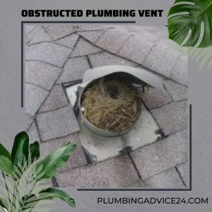 Obstructed Plumbing Vent