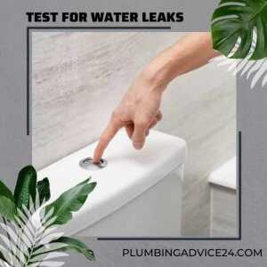 Test for Water Leaks