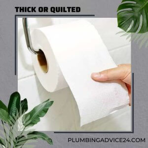 Thick or Quilted Toilet Paper