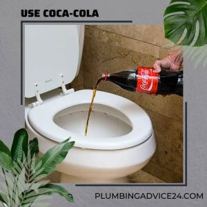 Use Coca-Cola in Toilet