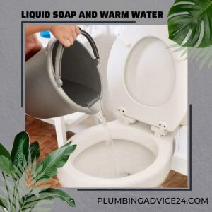 Use Liquid Soap and Warm Water in Toilet