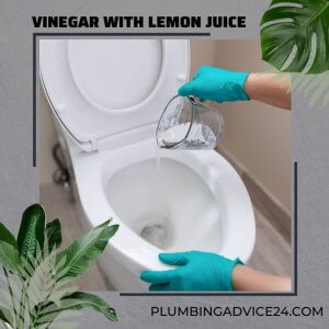 Vinegar with Lemon Juice in Toilet