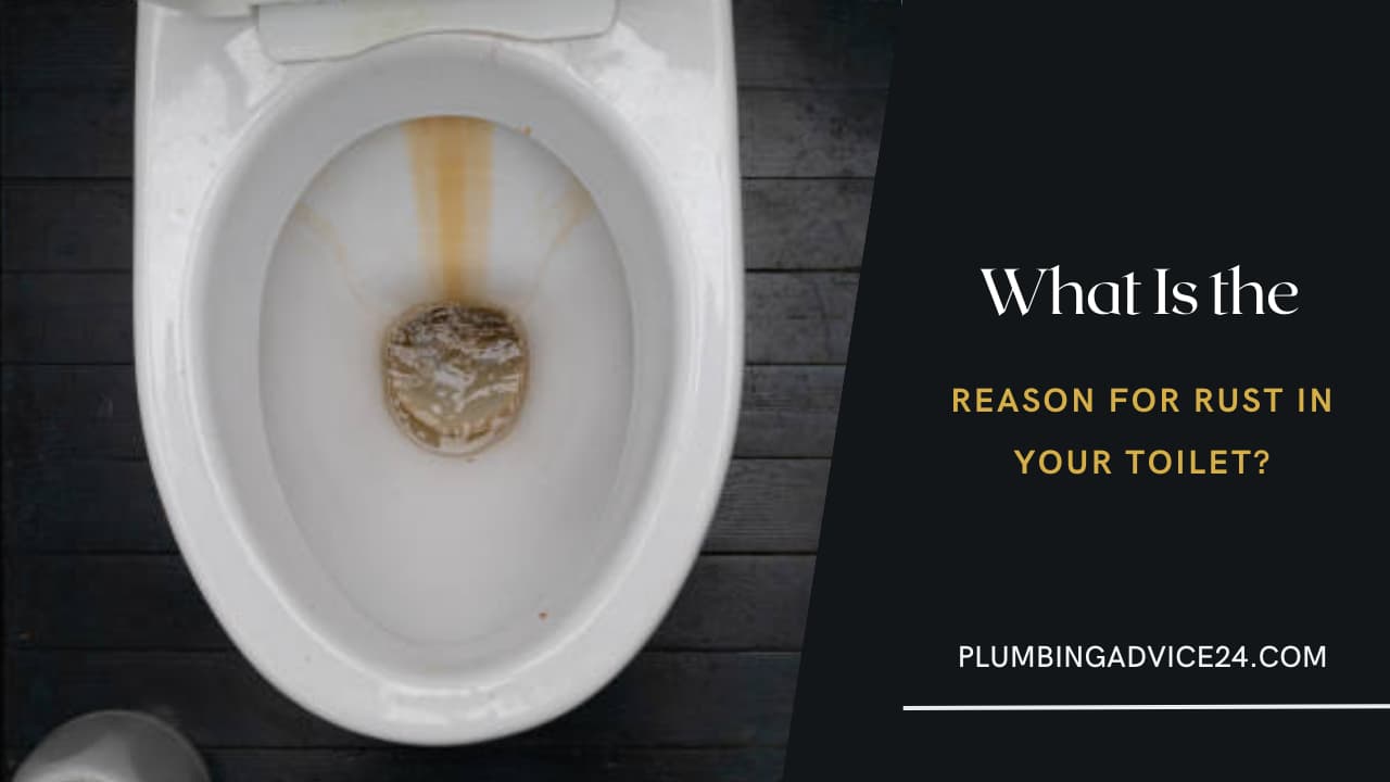 What Is the Reason for Rust in Your Toilet