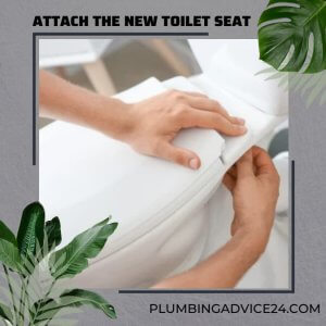 Attach the New Toilet Seat