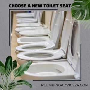 Choose a New Toilet Seat