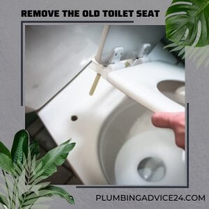Remove the Old Toilet Seat