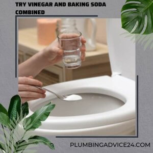 Try Vinegar and Baking Soda Combined in toilet