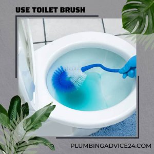 Use Toilet Brush in toilet