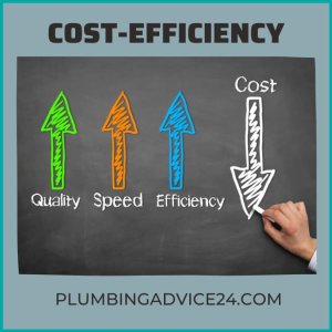 cost efficiency