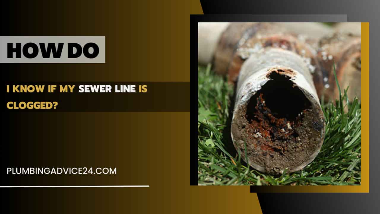 How Do I Know If My Sewer Line Is Clogged Plumbing Advice24