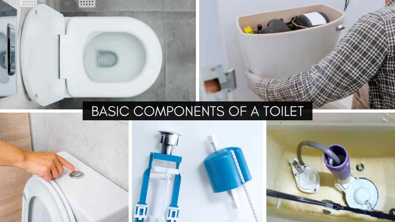 Basic Components of a Toilet (1)
