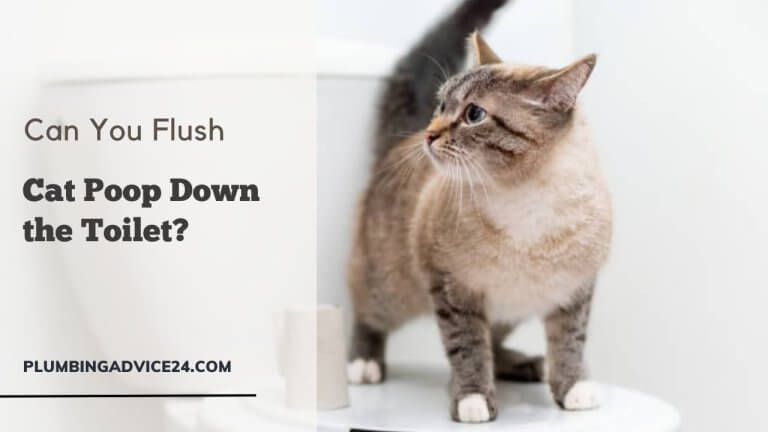 Can You Flush Cat Poop Down the Toilet?