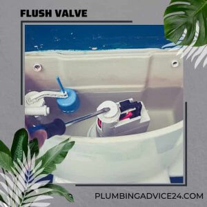 Flush Valve