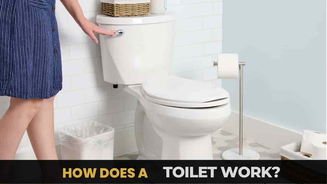 How a Toilet Work