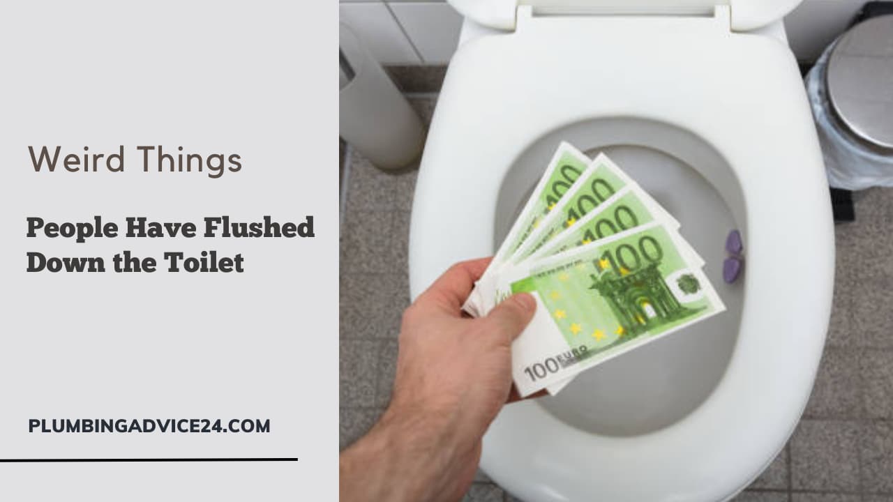Weird Things People Have Flushed Down the Toilet