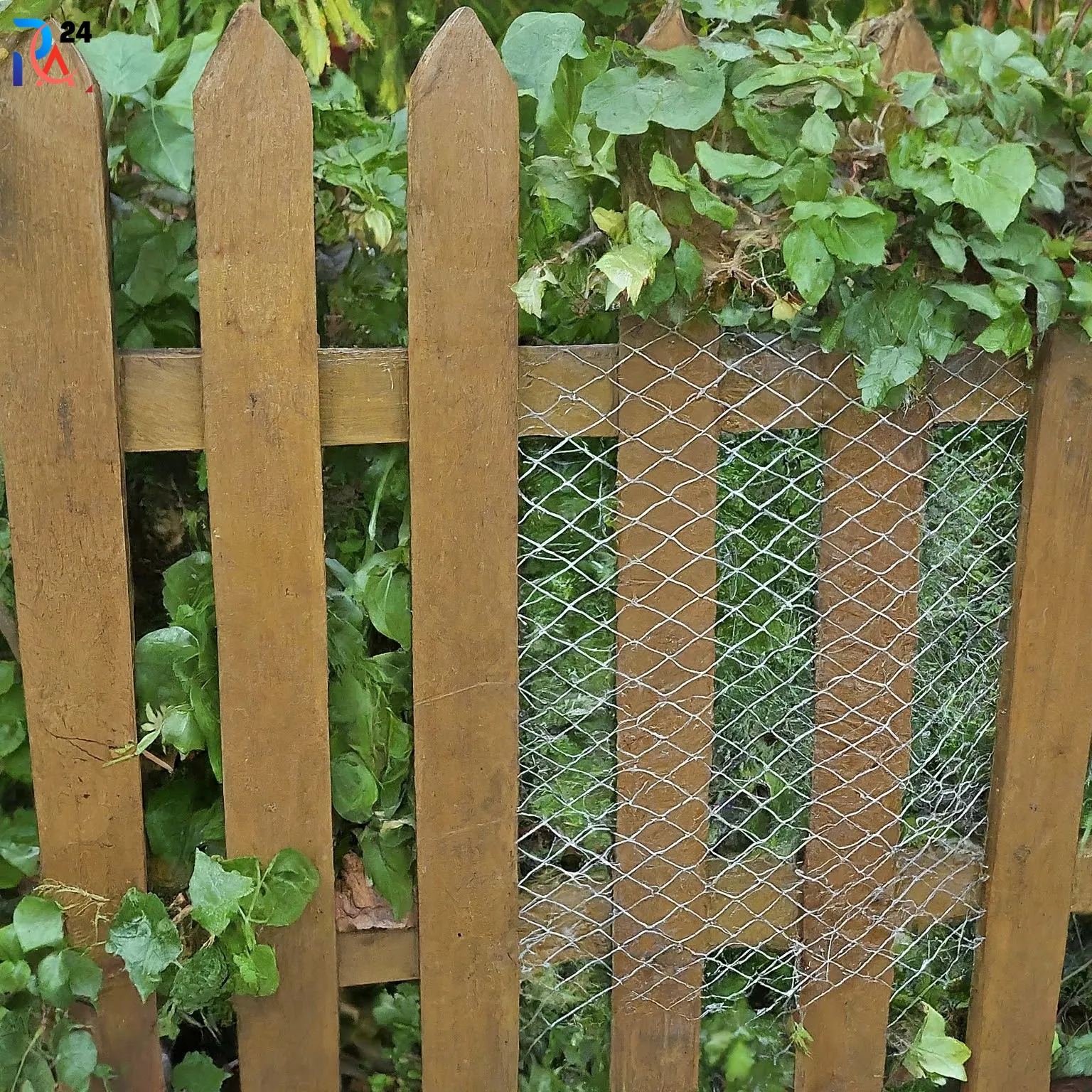 wood and wire fence ideas221