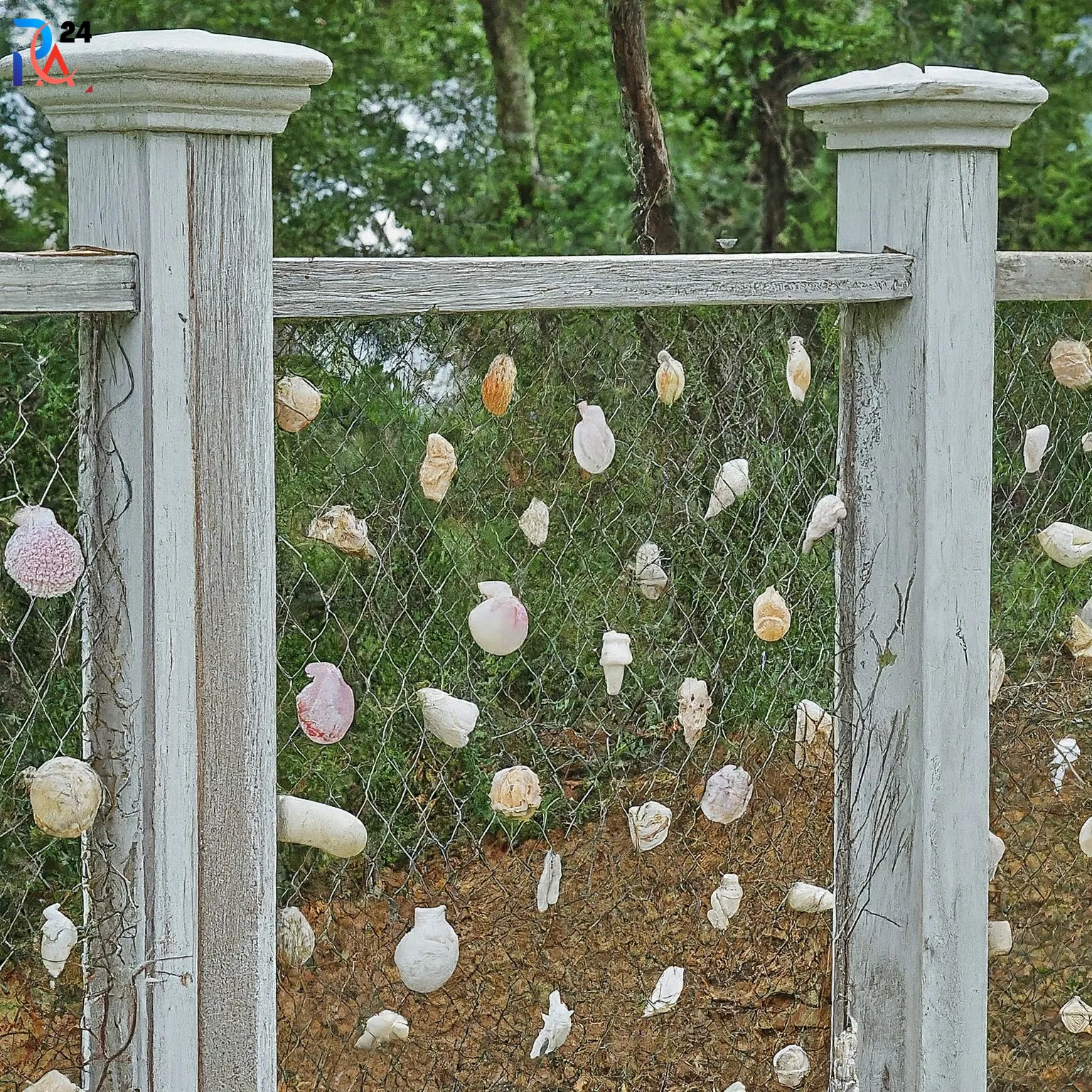 wood and wire fence ideas41